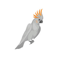 Cute white cockatoo with bright orange crest. Australian bird. Wildlife theme. Detailed flat vector icon