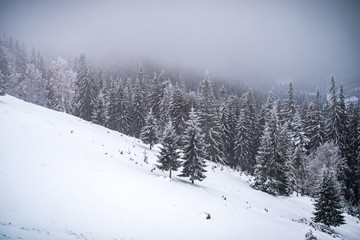 Naklejka premium winter in the mountains