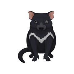 Obraz na płótnie Canvas Tasmanian devil. Australian animal with black fur and white patch on chest. Fauna theme. Detailed flat vector icon