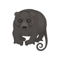 Australian phalanger. Wild marsupial animal with black fur and long tail. Fauna theme. Detailed flat vector icon