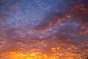 Fototapeta na wymiar Sunrise with blue purple gold sky. In morning 