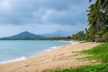 Untouched tropical beach in Koh Samui island, Thailand