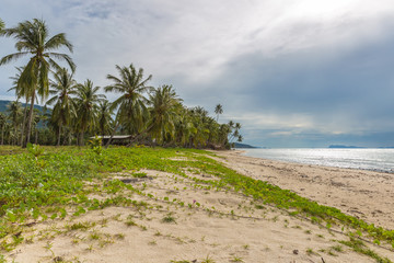Untouched tropical beach in Koh Samui island, Thailand