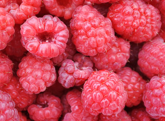 Raspberry berries. View from above.