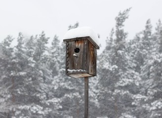 Birdhouse in winter. House for birds under the snow. Close up