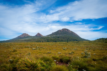 landscape in the mountains, Queenstown, Tasmania Australia