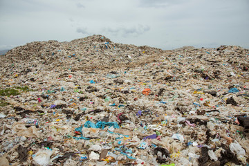 The mountains of garbage that humans eat and leave are pile up.