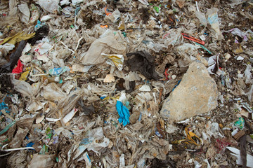 The mountains of garbage that humans eat and leave are pile up.
