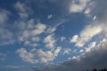 Kalter Himmel im Januar 01