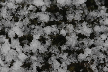 Pulverschnee mi Makro