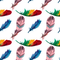 Watercolor pattern feathers are bright colored, on a white background, drawn by hands.