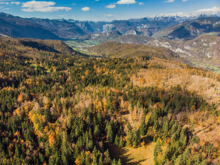 Colorful woods in remote Slovenia,aerial drone view