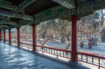 Interior details and a garden in winter