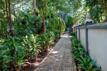 ガーデニング　イメージ