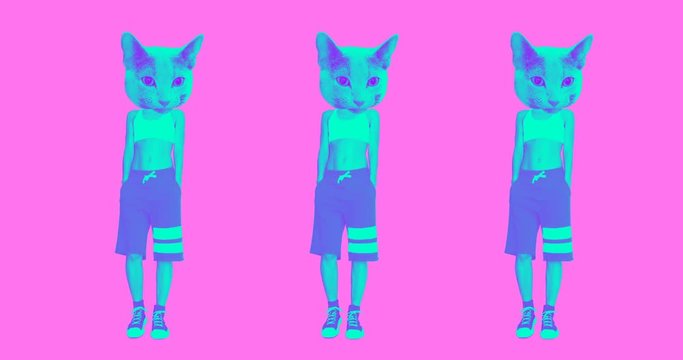Minimal animation design. Urban Street Style Cat. Ideal for Gif 