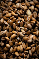 Still life with bread, flour and spikelets