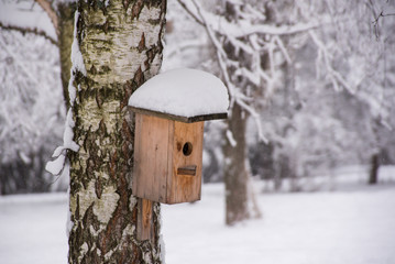 Birdhouse on a tree