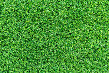 Grass texture background for golf course, soccer field or sports concept design. Artificial green grass.