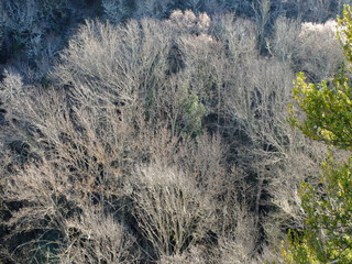 de Buoux à Sivergues