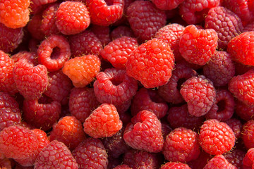 Close up of the ripe raspberry as background.