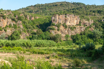 Landscape near Le Muy