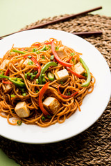 Schezwan hakka noodles with paneer or cottage cheese. Served in a bowl. selective focus