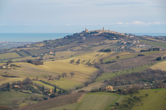 cingoli