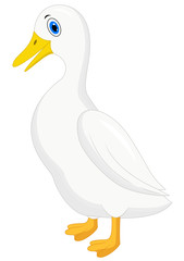 Cute duck cartoon isolated on white background