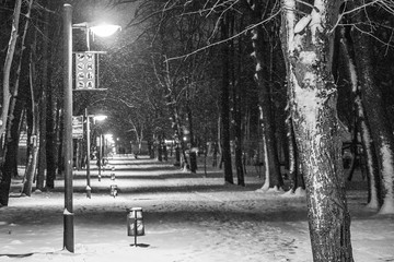 winter night, Park, snow, lanterns