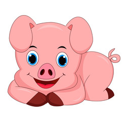Obraz na płótnie Canvas Cute pig cartoon isolated on white background