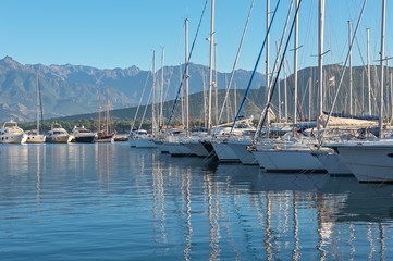 Obraz premium White yachts in the port of the seaside city