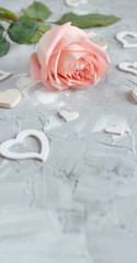 Pink rose with hearts