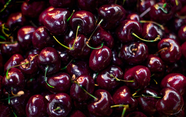 Ripe cherries background. Close up of cherry  berries with stalks
