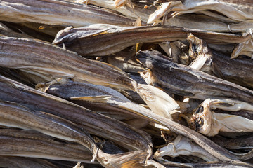 Cod stockfish.Industrial fishing in Norway