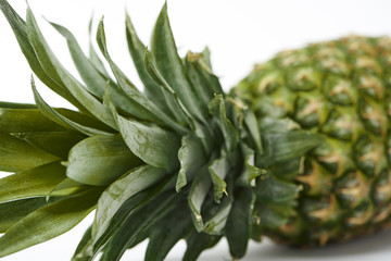 selective focus of of green leaves of ripe pineapple