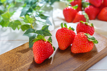 新鮮な苺と朝の光