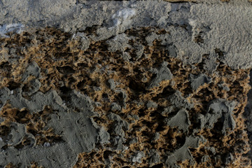 texture of natural stone. background of shellstone stone. stone wall with cement