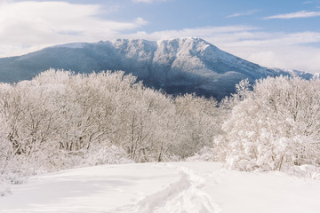 snow mountains peak and frozen forest landscape, Crimea 