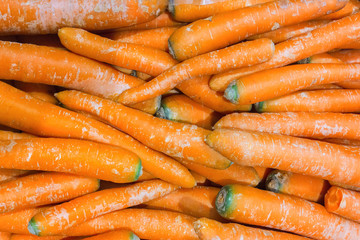 many of fresh raw carrots. background texture