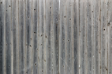Texture of wall from wood (old gray fence from wooden planks with knots and nails) in winter