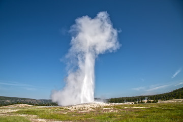 Old Faithful Geyser Eruption in Yellowstone National Park