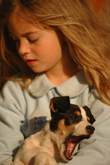 Obraz premium Little girl with puppy
