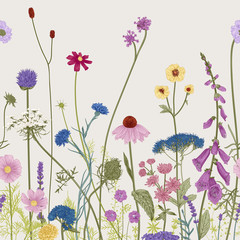 Naklejki  Bezszwowe granica kwiatowy. Letnie kwiaty. Ilustracja wektorowa. Kolorowy
