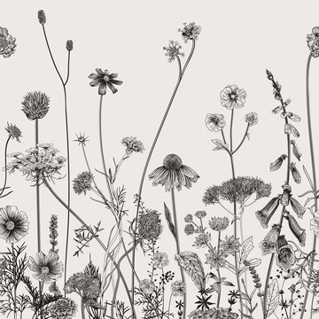 Floral border. Summer flowers. Vector illustration. Black and white