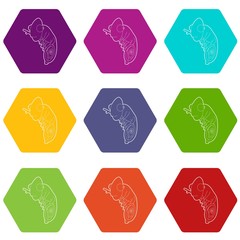 Chameleon icons 9 set coloful isolated on white for web
