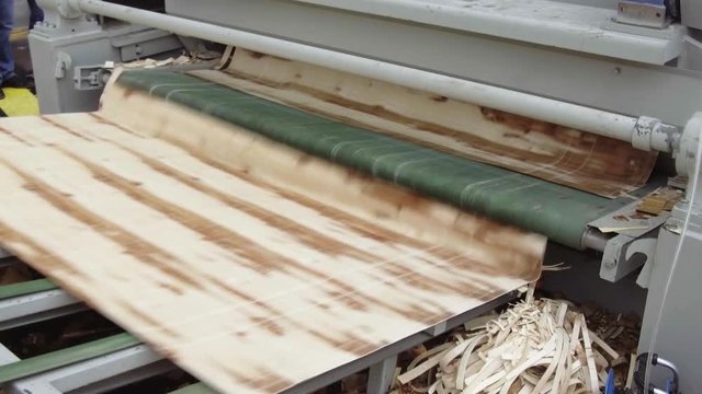 Machine for the production of veneer sheets, in the process.