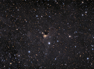 Fototapeta premium Ghost Nebula (VdB 141) in the constellation Cepheus
