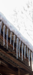 stalactite ice hangs from the roof of the house winter background