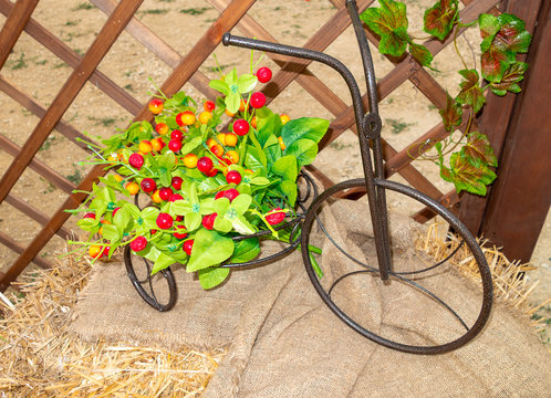 Iron artificial small tricycle on which lies a basket with decorative artificial fruits of red and yellow cherries - Powered by Adobe