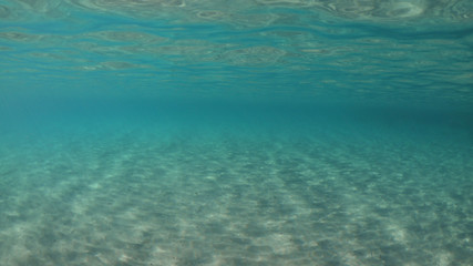 Fototapeta na wymiar Underwater photo of super paradise beach with turquoise clear sea located in Greek island of Mykonos, Cyclades, Greece